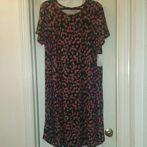 NWT LulaRoe 2XL Carly Dress